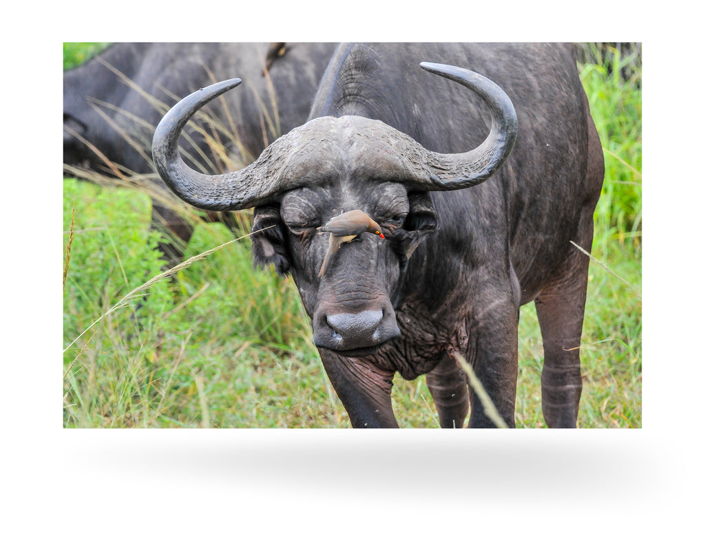 Richards Bay, Südafrika