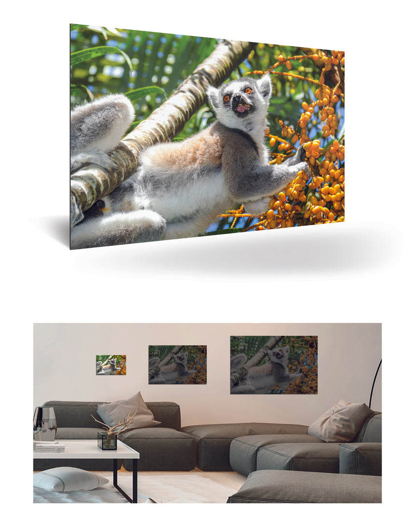 Tolagnaro, Madagaskar