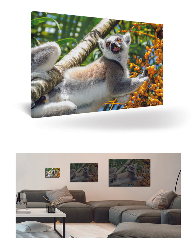 Tolagnaro, Madagaskar