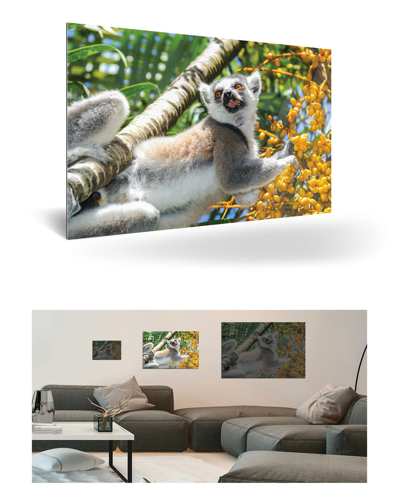 Tolagnaro, Madagaskar