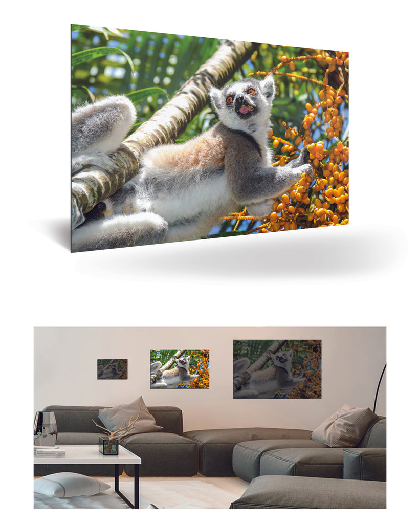 Tolagnaro, Madagaskar