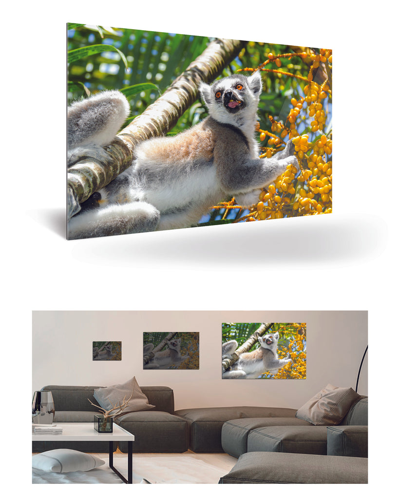 Tolagnaro, Madagaskar