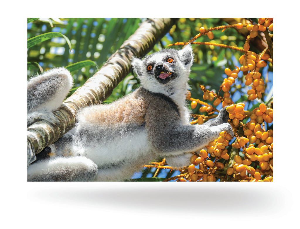 Tolagnaro, Madagaskar