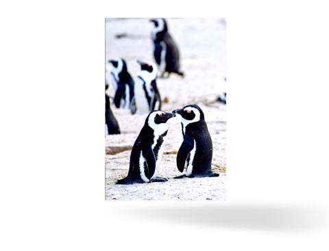 Kapstadt, Südafrika