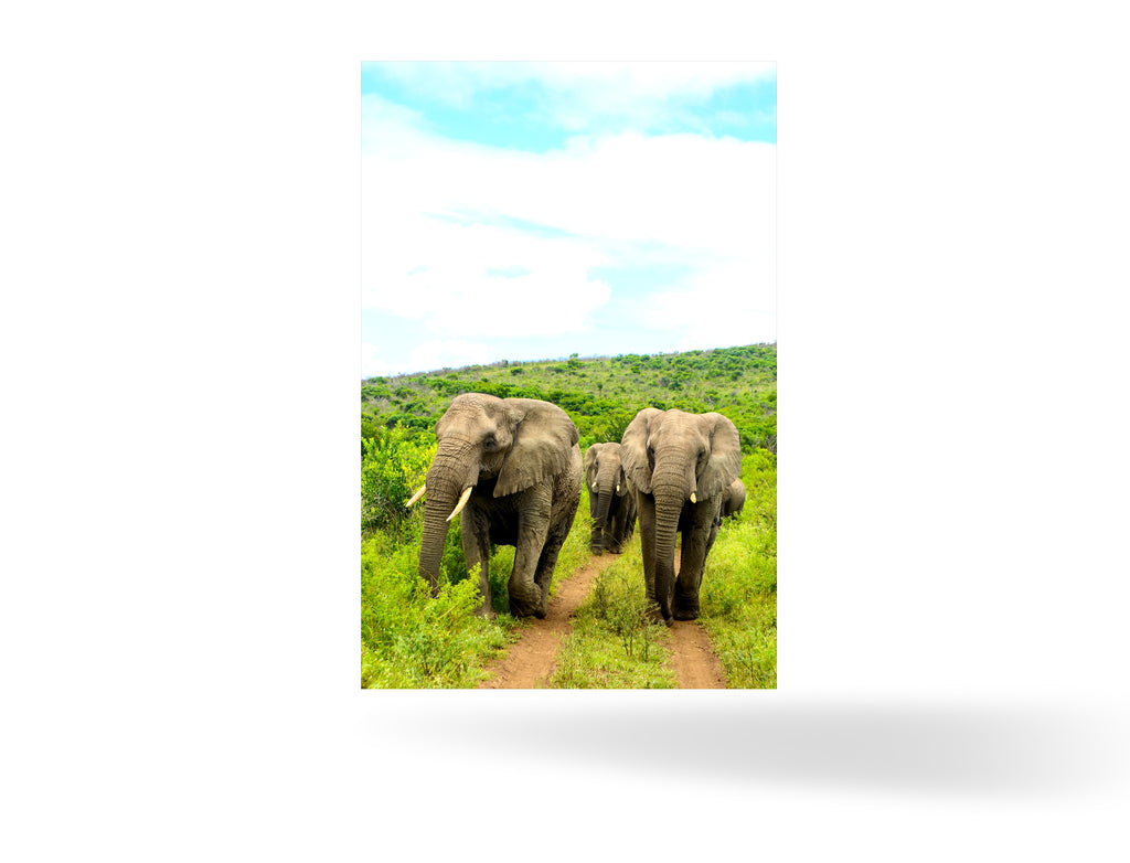 Richards Bay, Südafrika