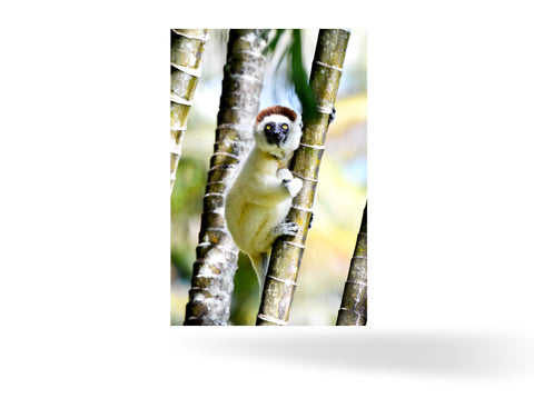 Tolagnaro, Madagaskar