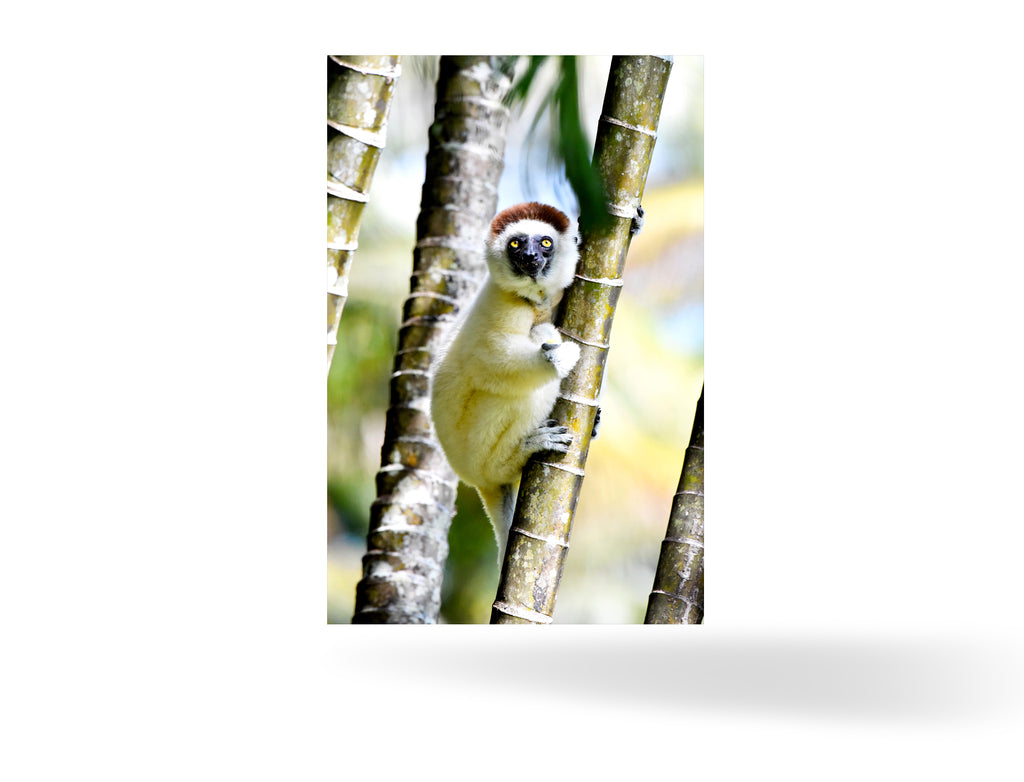 Tolagnaro, Madagaskar