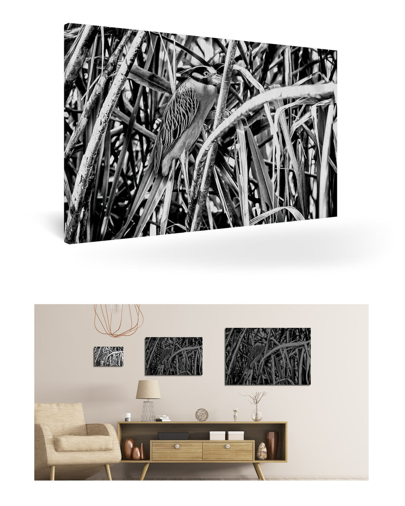 Puerto Limón, Costa Rica