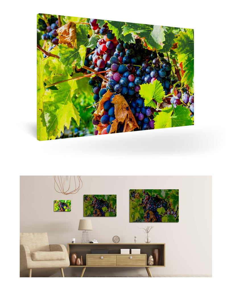 Bordeaux, Frankreich