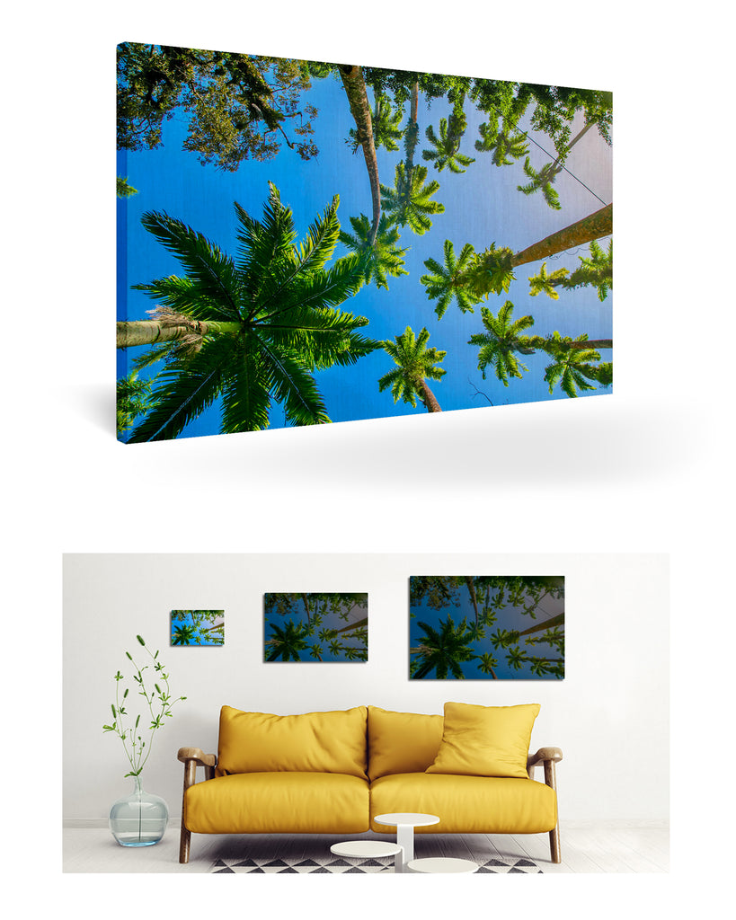 Puerto Limón, Costa Rica