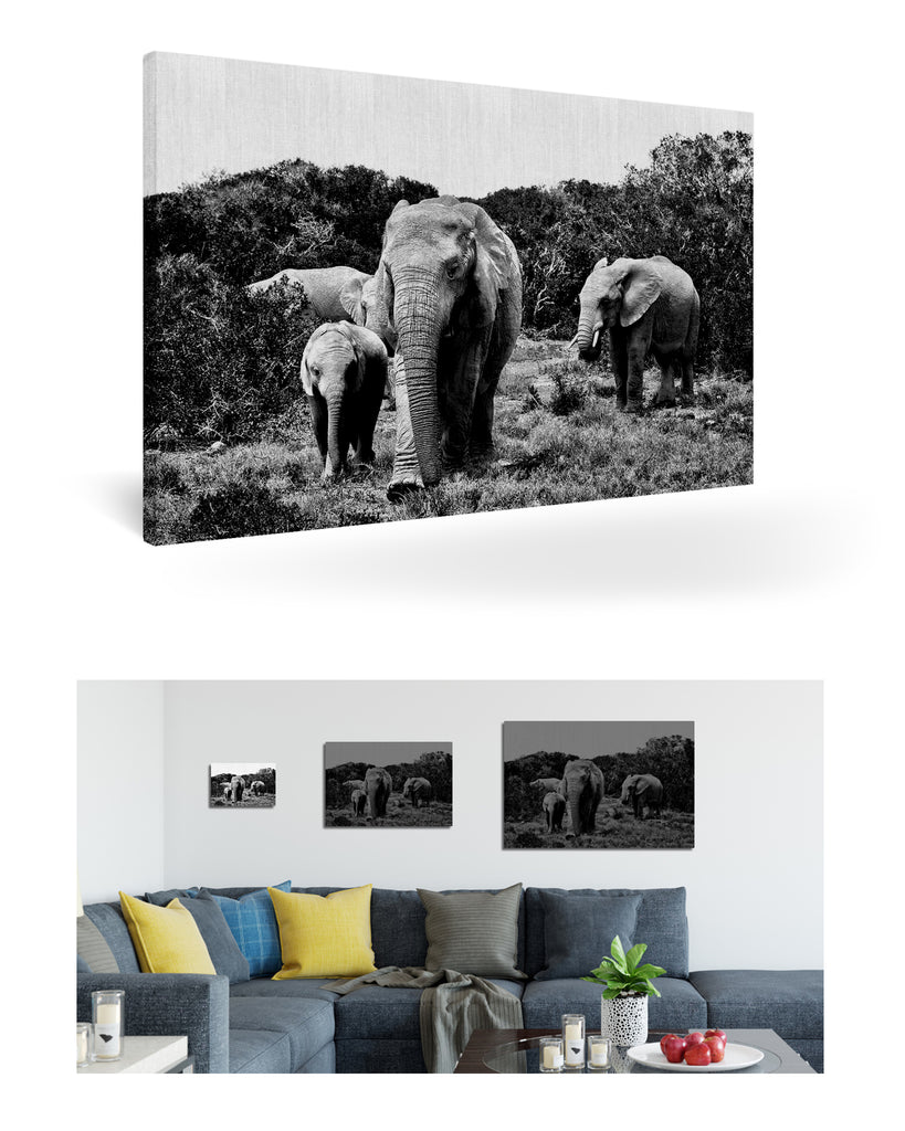 Port Elizabeth, Südafrika