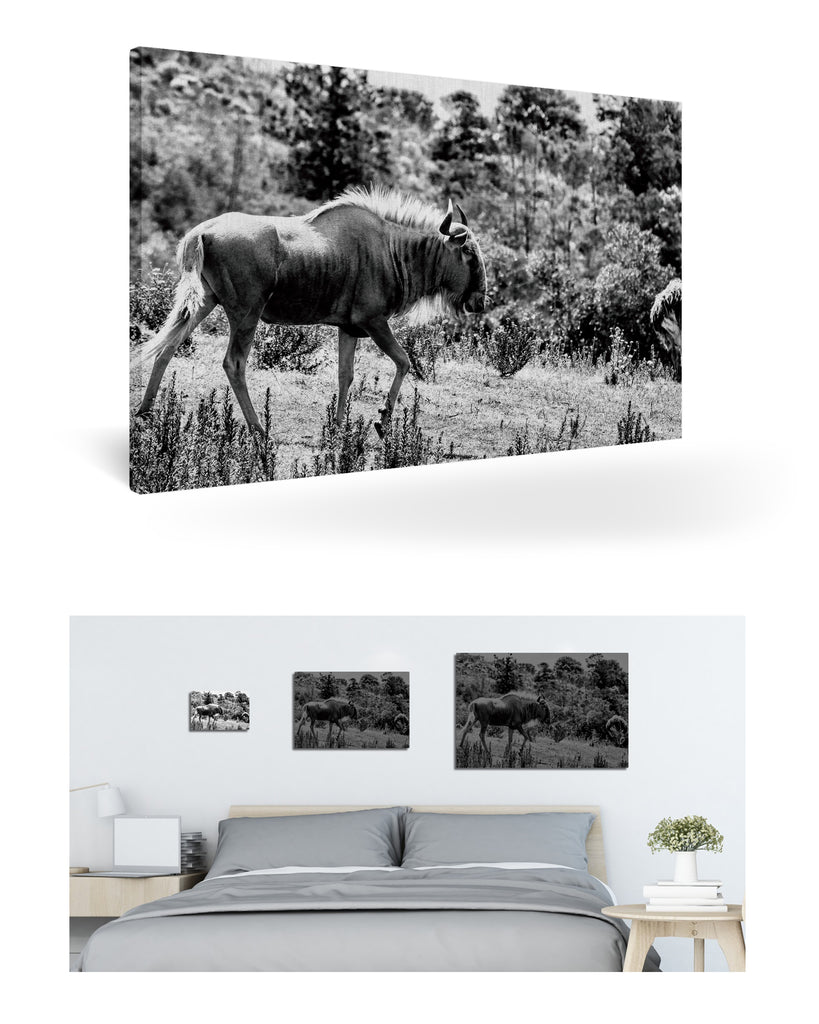 Mossel Bay, Südafrika