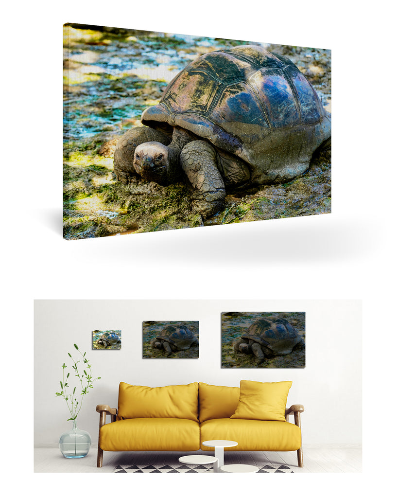 La Digue, Seychellen