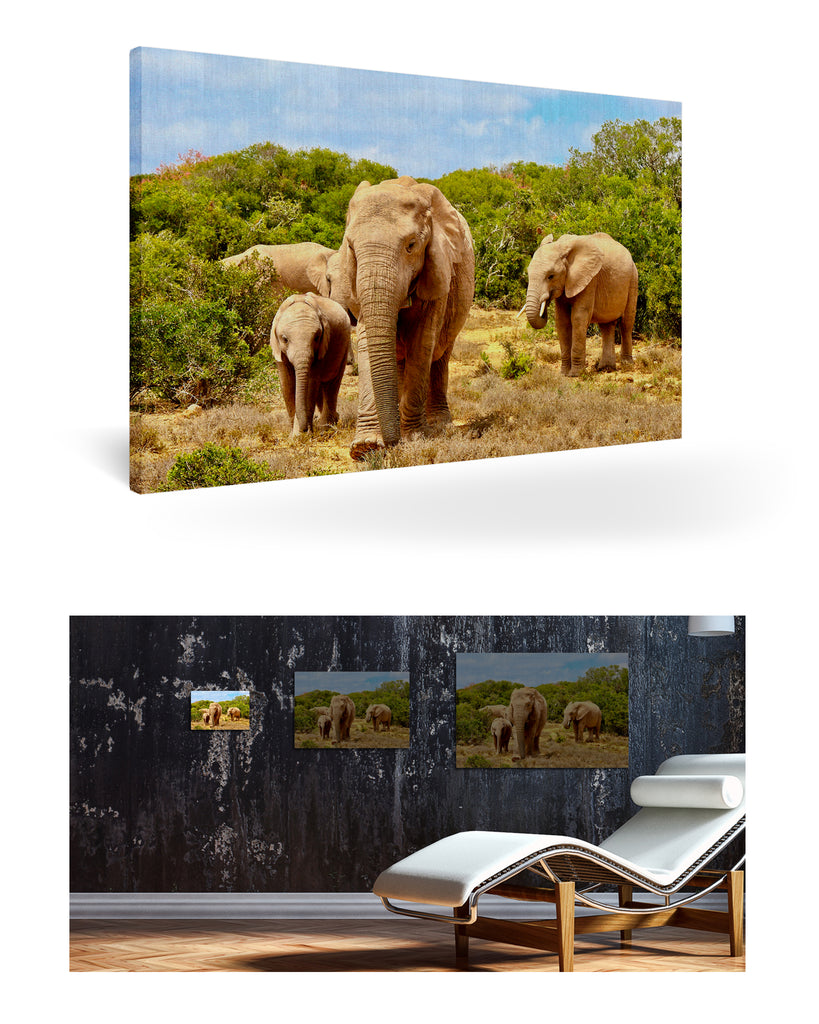 Port Elizabeth, Südafrika