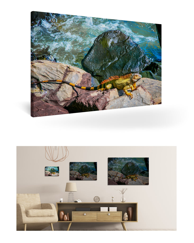 Puerto Limón, Costa Rica