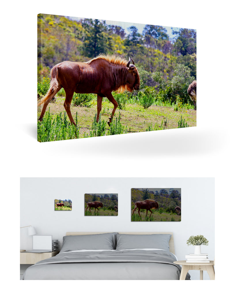 Mossel Bay, Südafrika