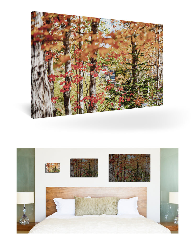 Bar Harbor, Vereinigte Staaten