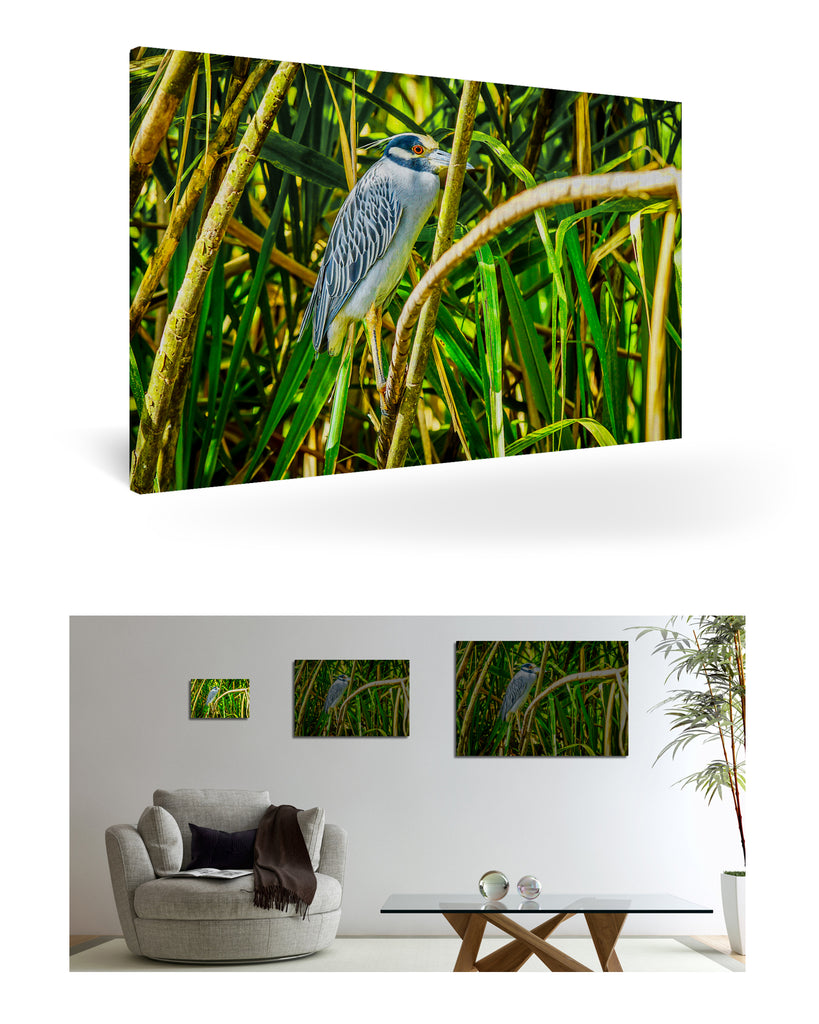 Puerto Limón, Costa Rica