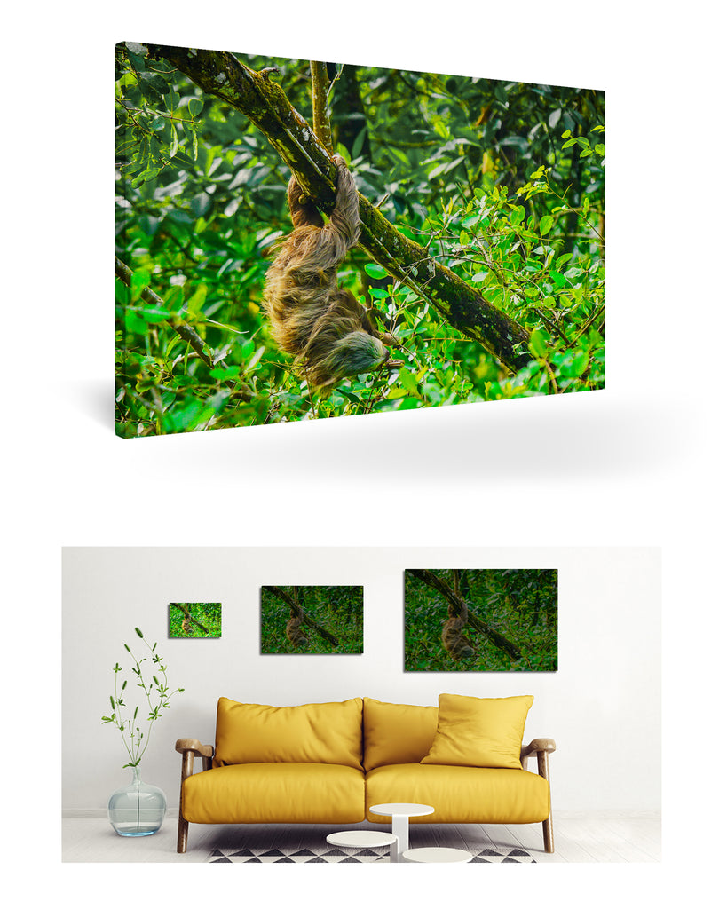 Puerto Limón, Costa Rica