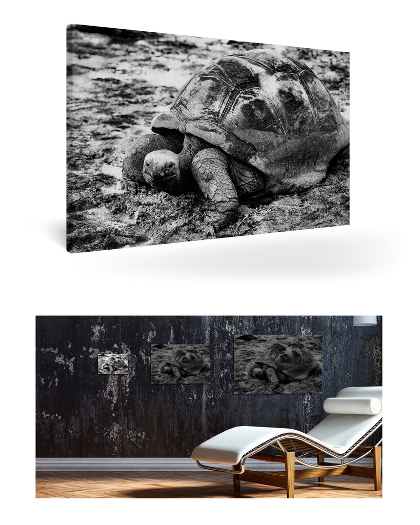 La Digue, Seychellen