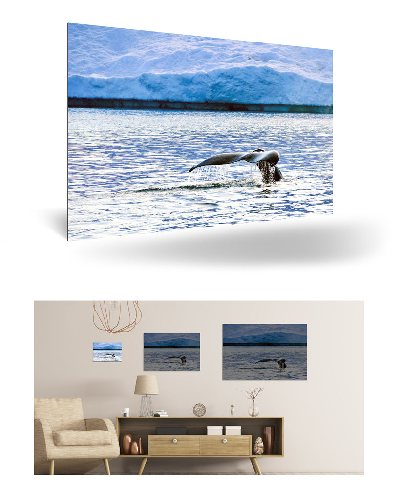 Ilulissat, Grönland