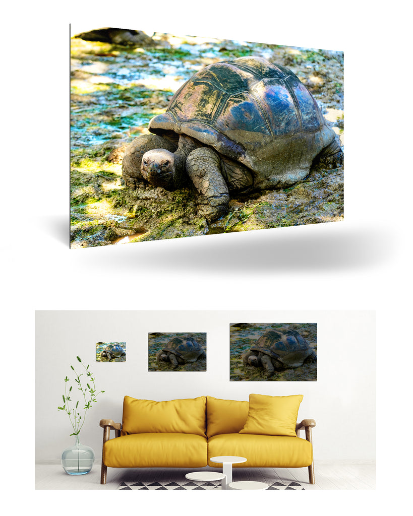 La Digue, Seychellen