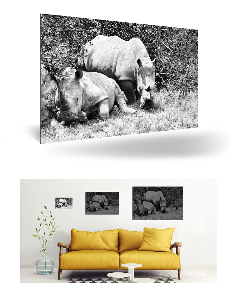 Port Elizabeth, Südafrika