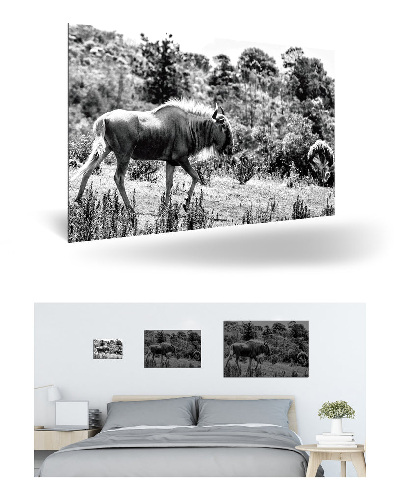 Mossel Bay, Südafrika