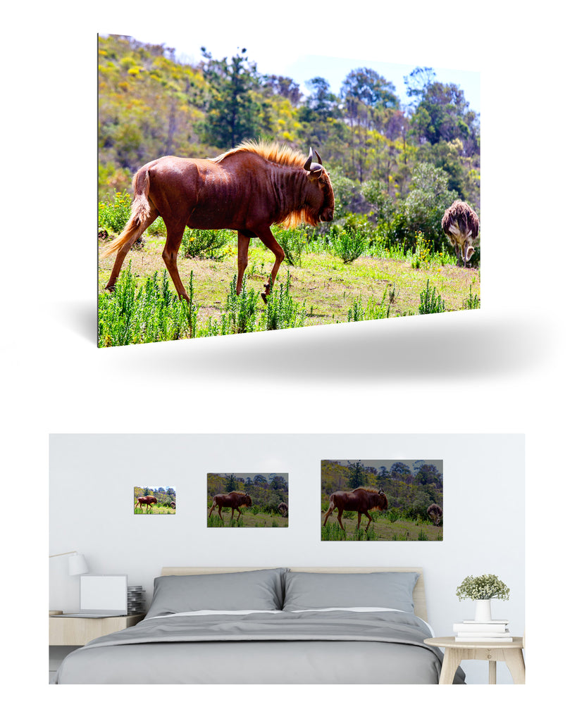 Mossel Bay, Südafrika