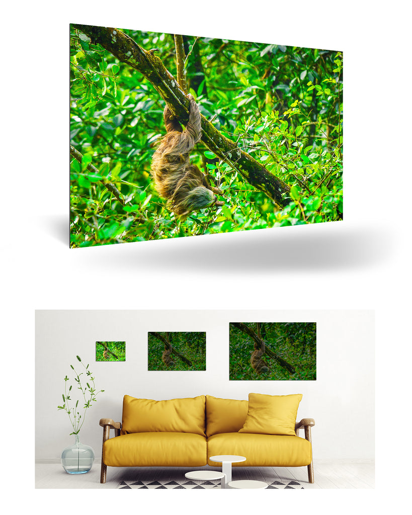 Puerto Limón, Costa Rica