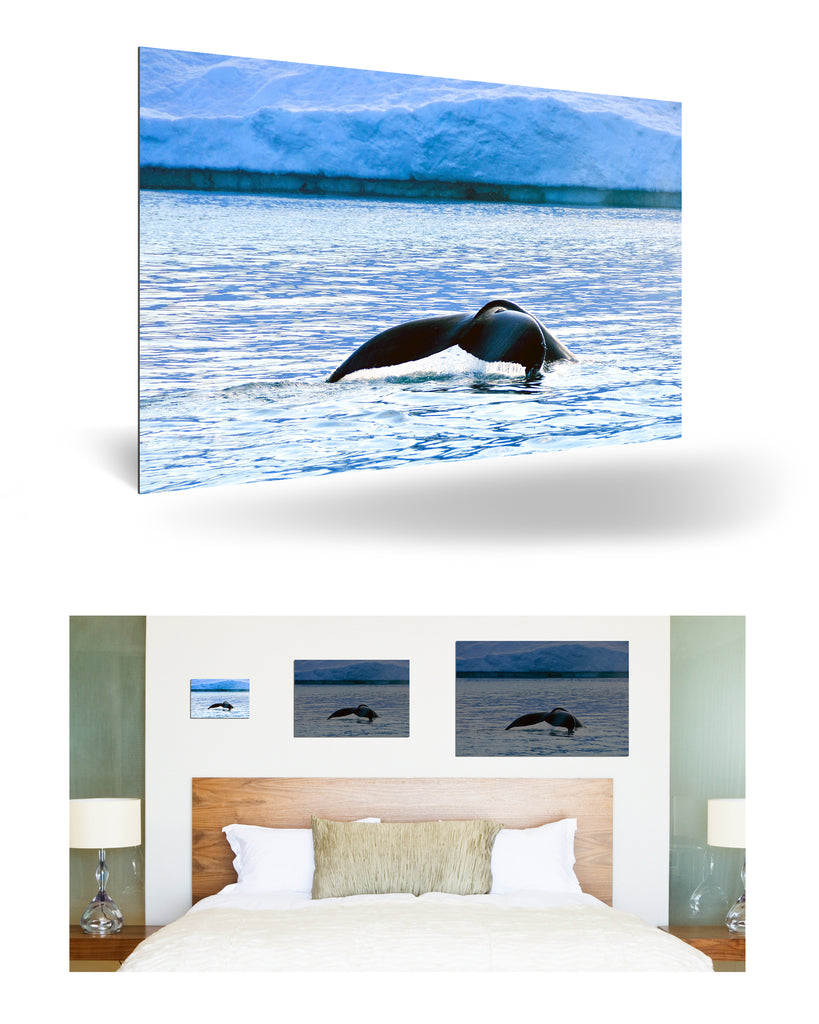 Ilulissat, Grönland