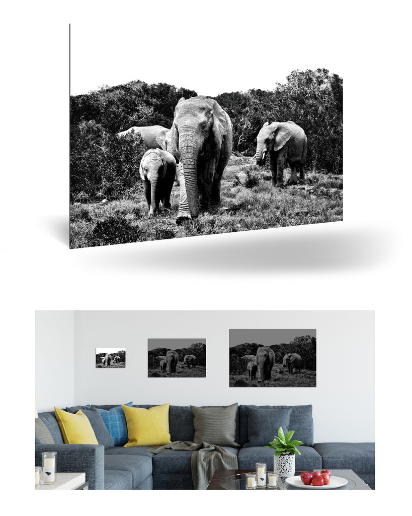 Port Elizabeth, Südafrika