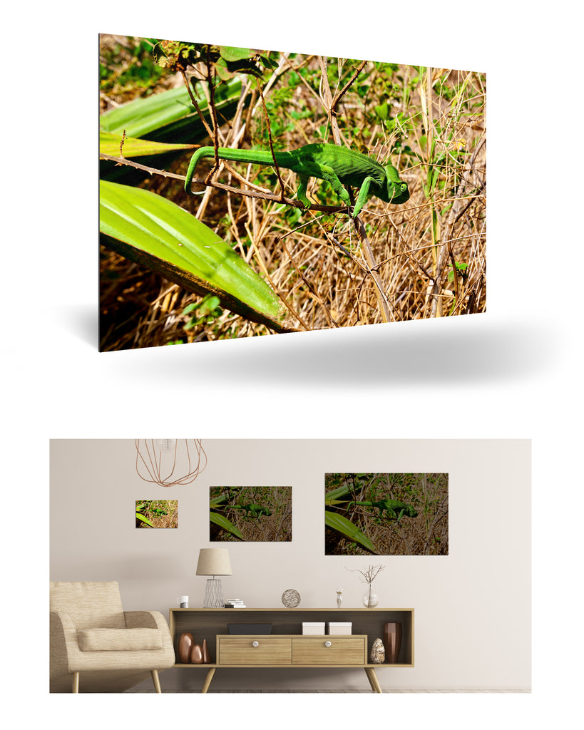 Antsiranana, Madagaskar