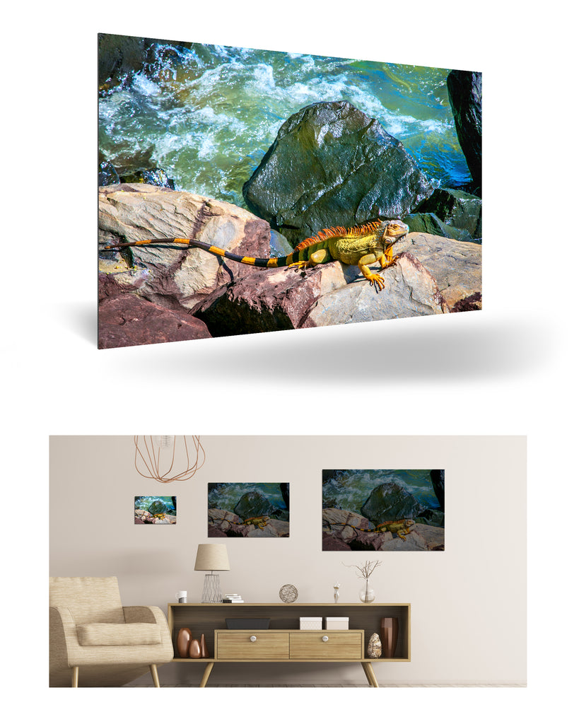 Puerto Limón, Costa Rica