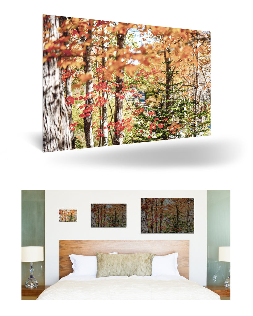 Bar Harbor, Vereinigte Staaten