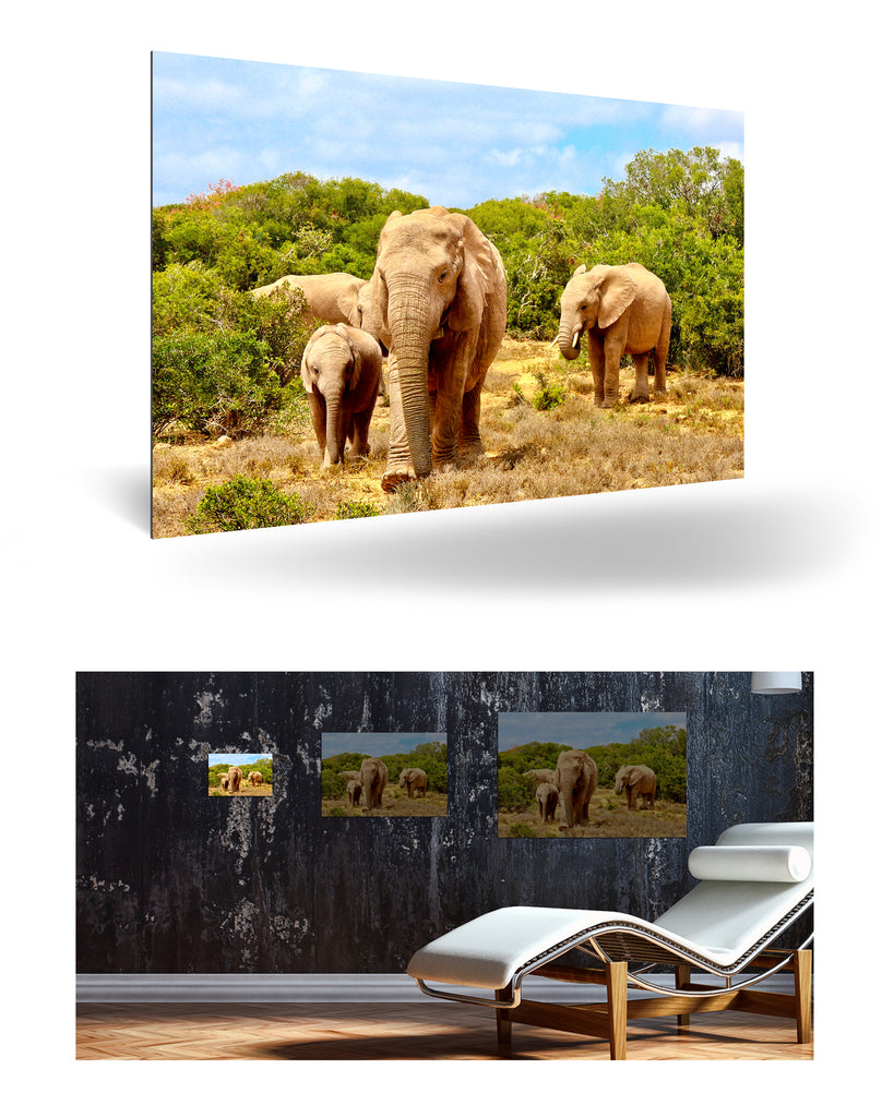 Port Elizabeth, Südafrika