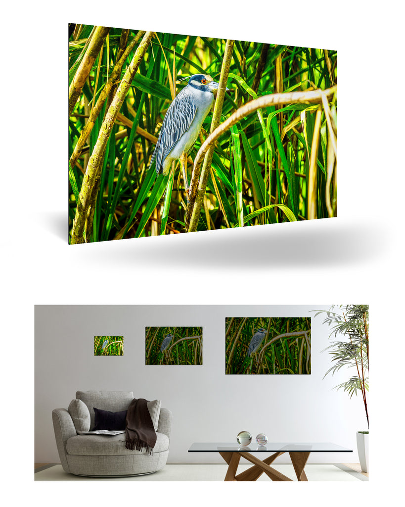 Puerto Limón, Costa Rica