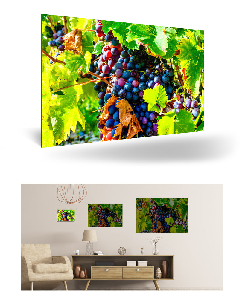 Bordeaux, Frankreich