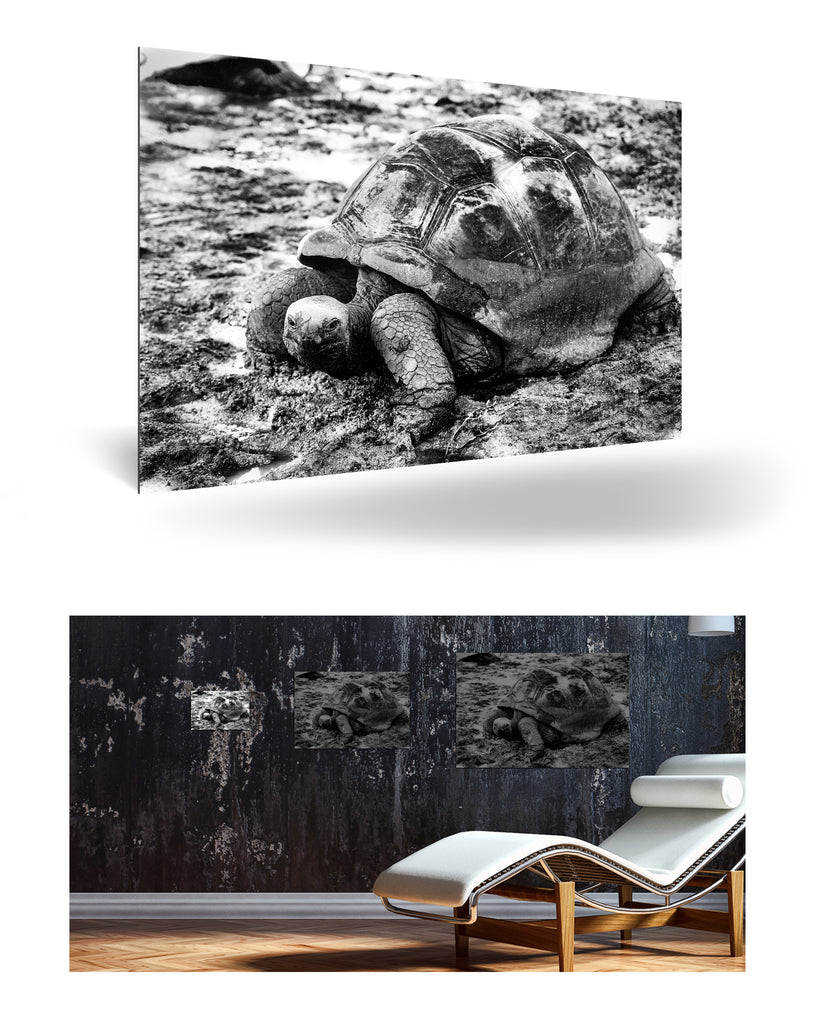 La Digue, Seychellen