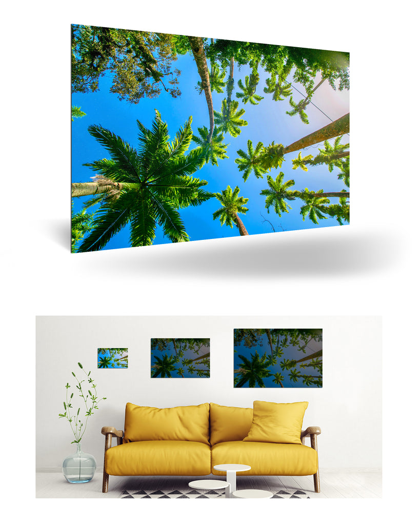 Puerto Limón, Costa Rica