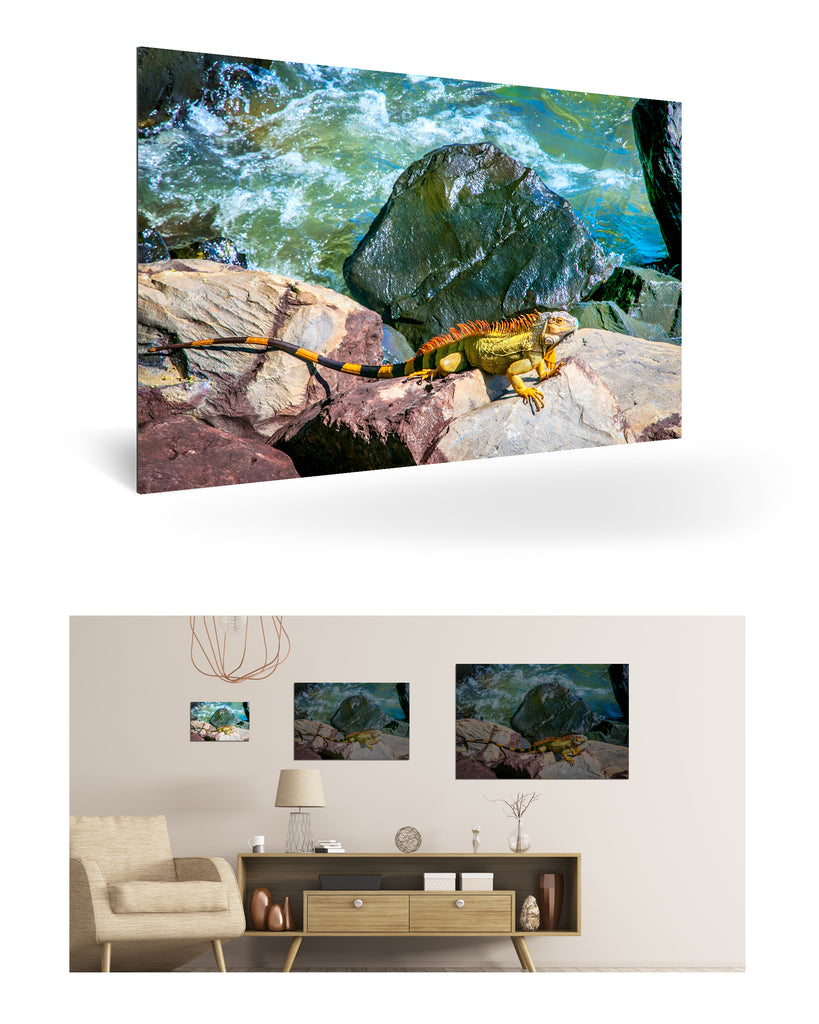 Puerto Limón, Costa Rica