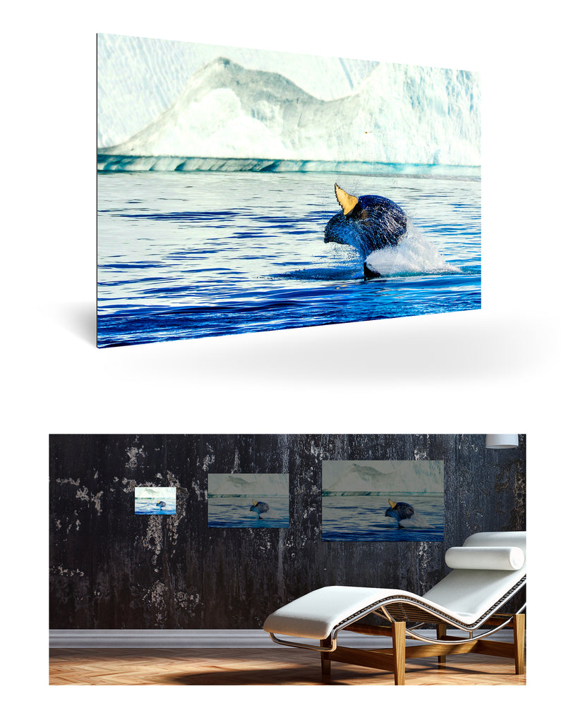 Ilulissat, Grönland