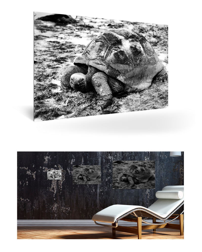 La Digue, Seychellen