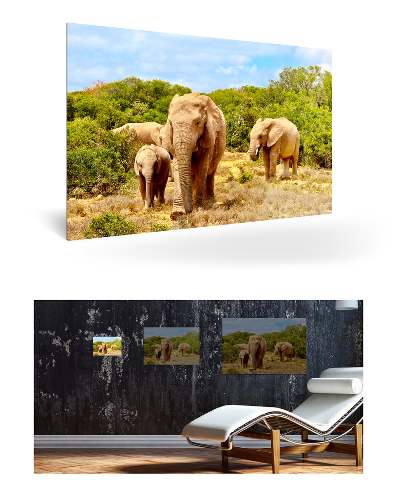 Port Elizabeth, Südafrika