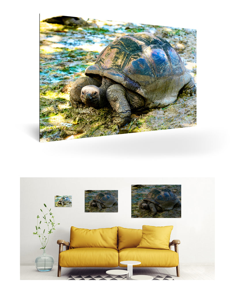 La Digue, Seychellen