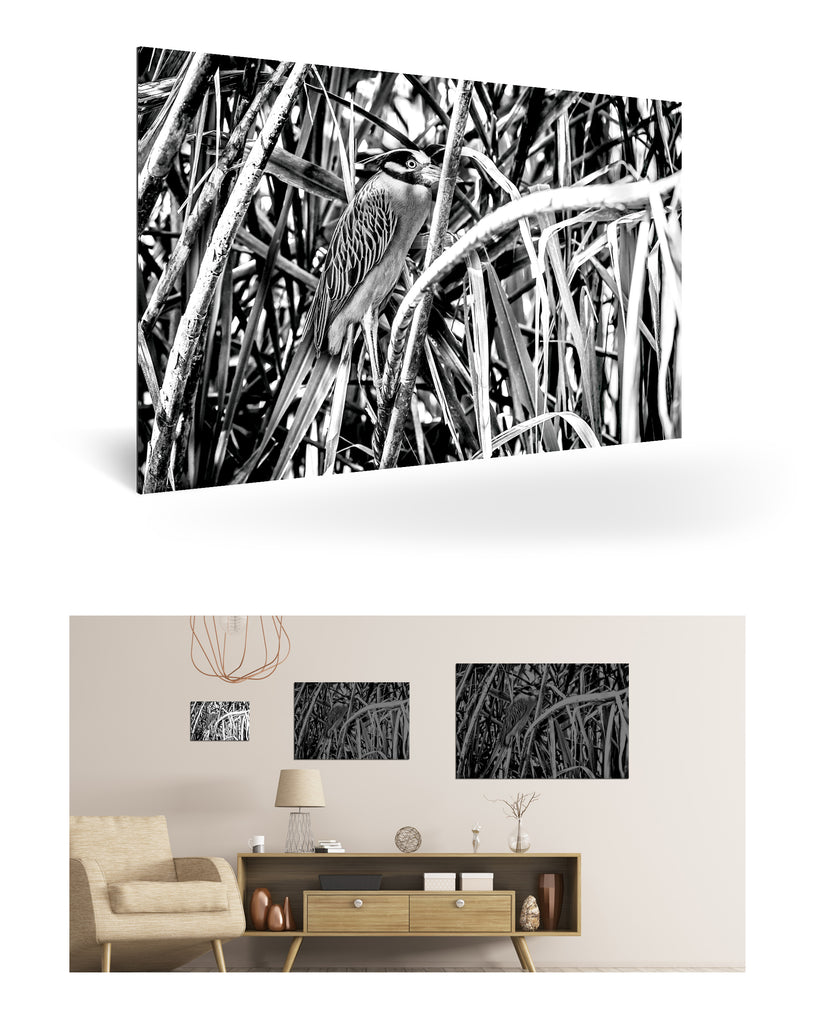 Puerto Limón, Costa Rica