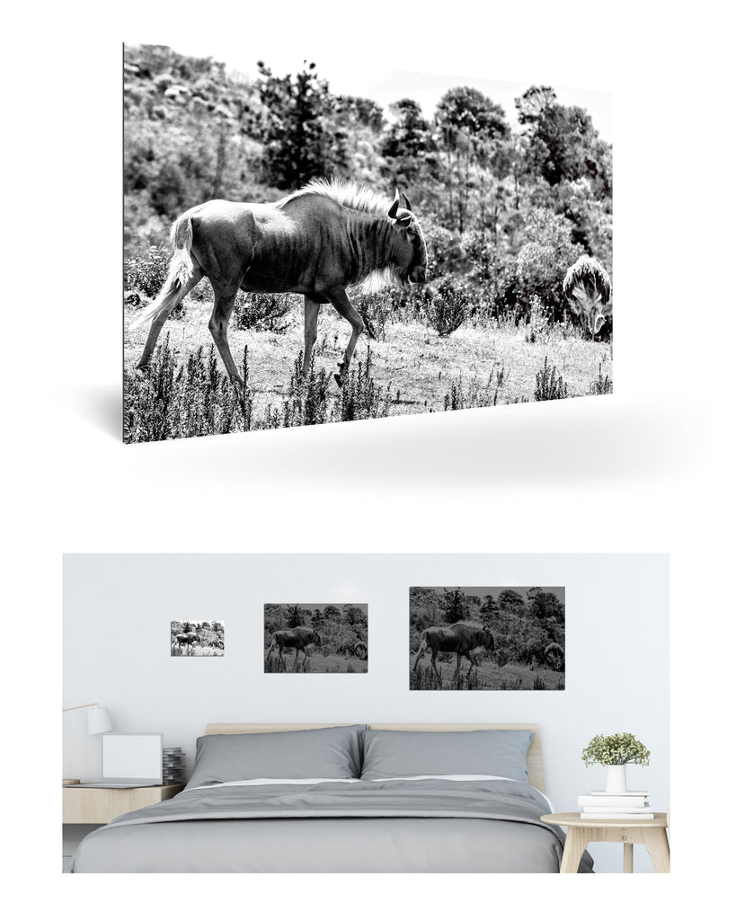 Mossel Bay, Südafrika