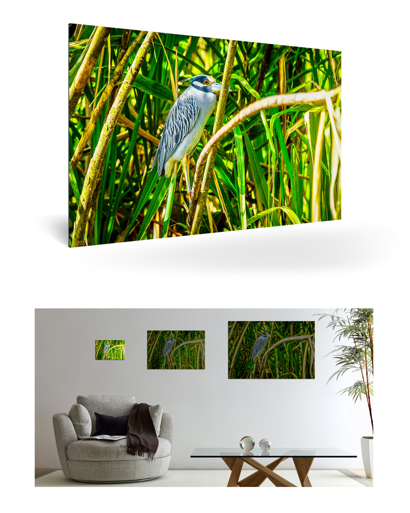 Puerto Limón, Costa Rica