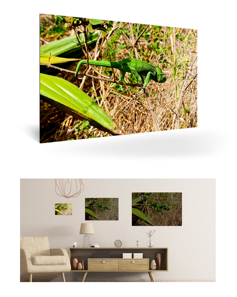 Antsiranana, Madagaskar