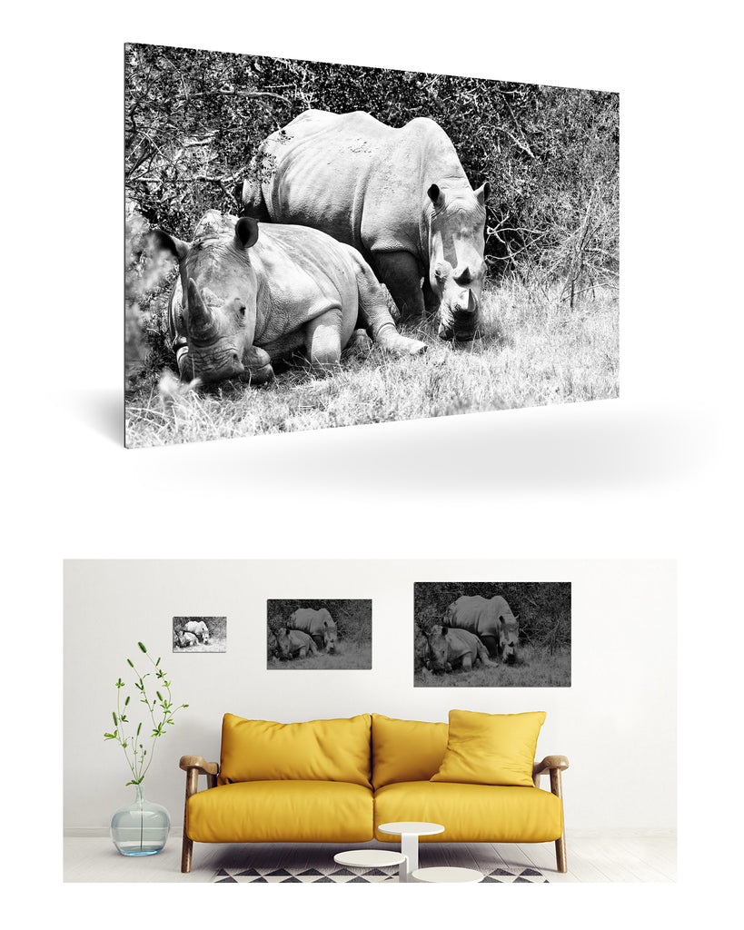 Port Elizabeth, Südafrika